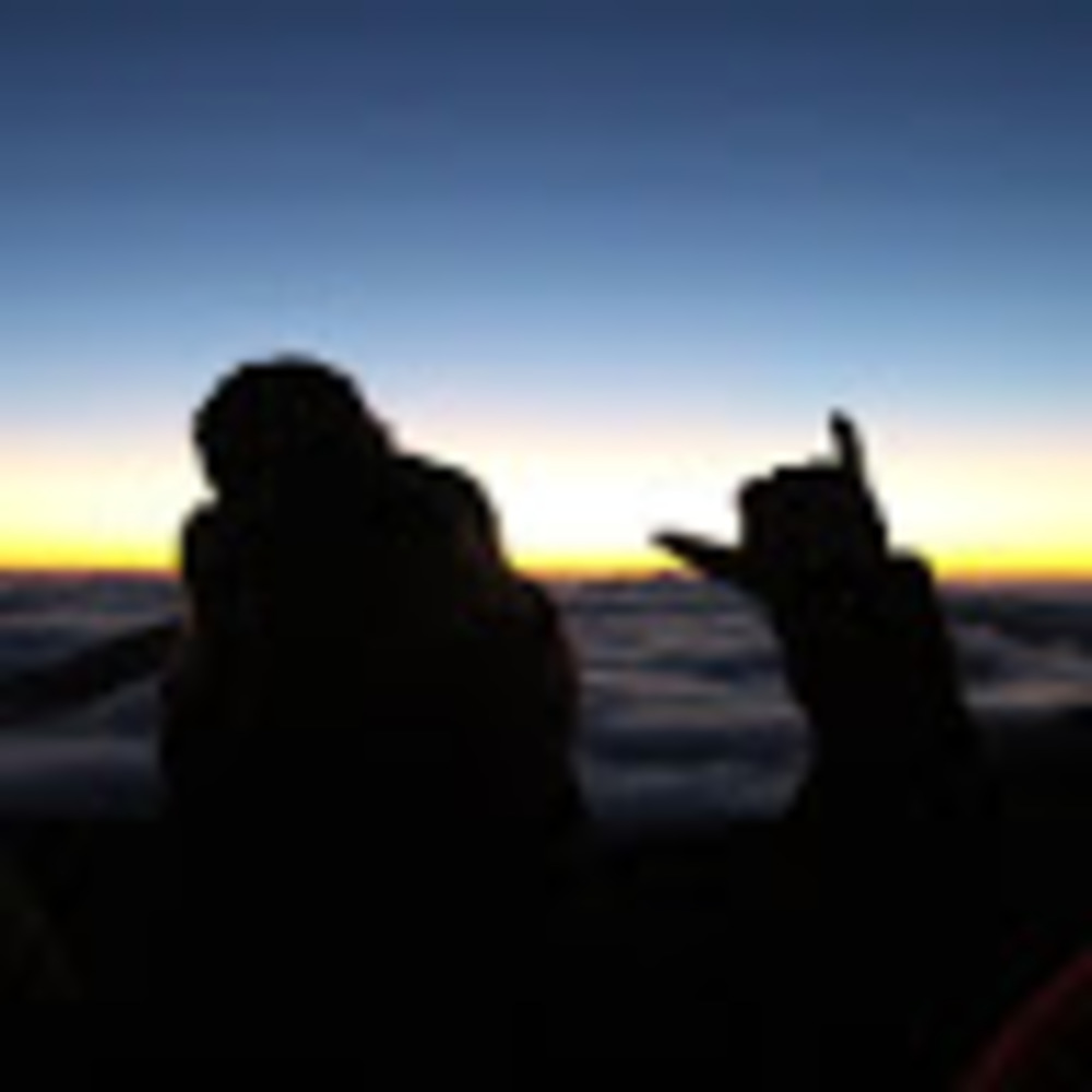 Meet your Posher, Anne